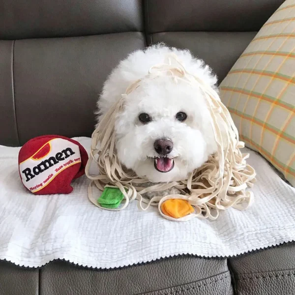 Funny Noodle Shape Leaking Food Dog Toy
