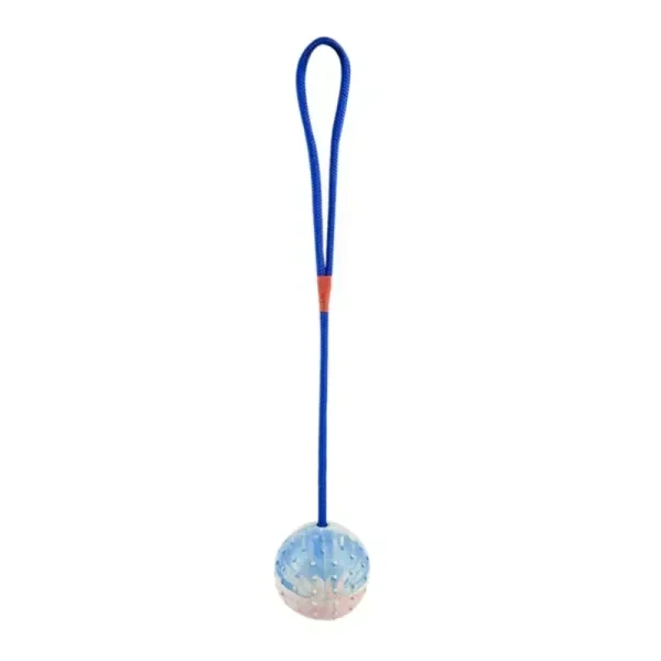 Pet Training Toy Natural Rubber Ball On Rope For Reward