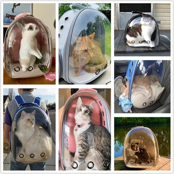 Space Pet Carrying Bag for Small Animal