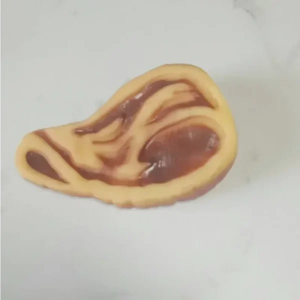 Dog Steak - Silicon Chew Playing Toy