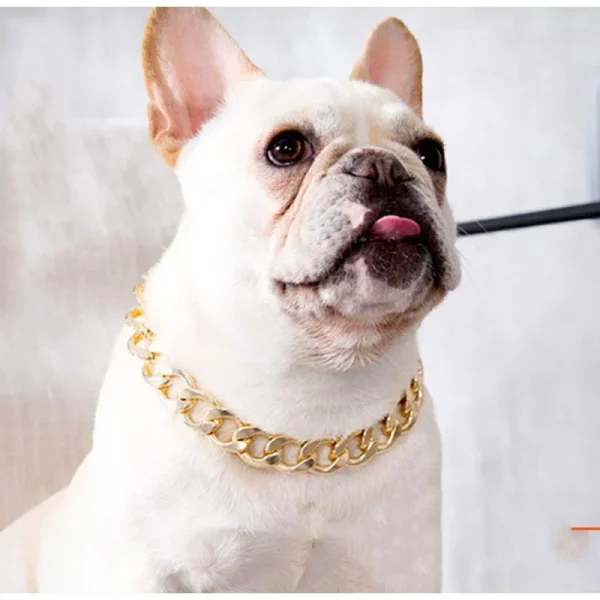 Dogs Collar Necklace - Silver/Golden