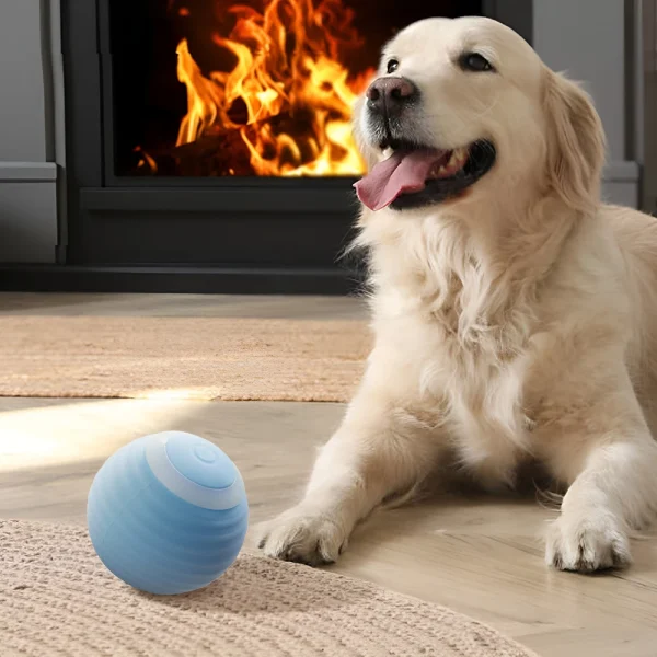 Tieker 2-pack smart toy ball rechargeable  with LED light