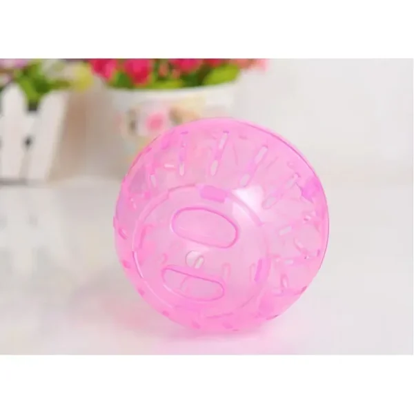 Small Hamster Transparent Running Ball 10cm