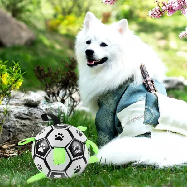 Training Soccer Ball Pet Toy, High Bounce, Recyclable, Inflatable