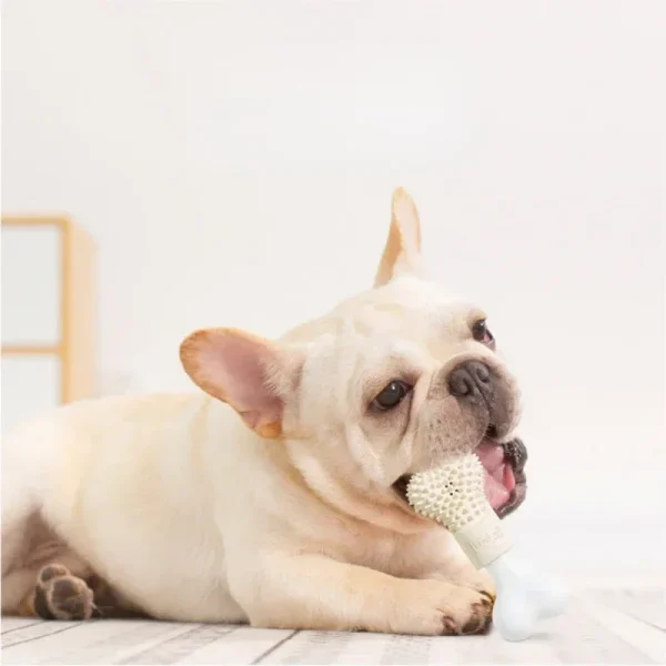 Dog Chew Toy - Rubber Bone Shape