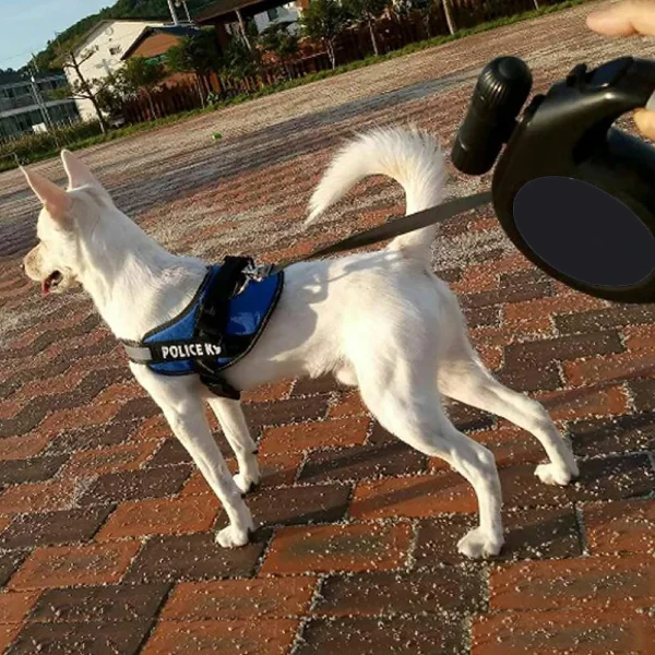 8M 50KG Retractable Dog Leash with LED Night Lights