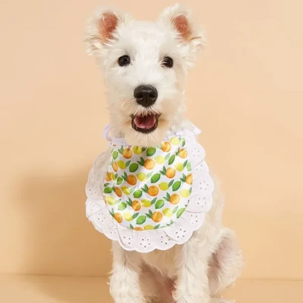 Dog Bandanas - Fashion Puppy Triangular Bandage
