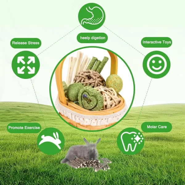 Lisetar Natural Timothy Hay & Apple Wood Sticks - 18pcs Chinchilla & Bunny