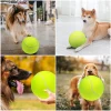 9.5‘’Oversize Giant Tennis Balls Inflatable Tennis Ball with Pump, Dog Toy