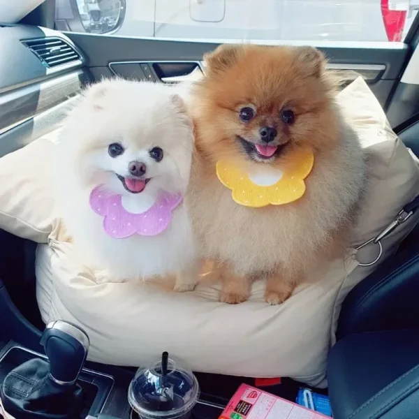 Pet Bandana Triangular Bandage Neckerchief Scarf