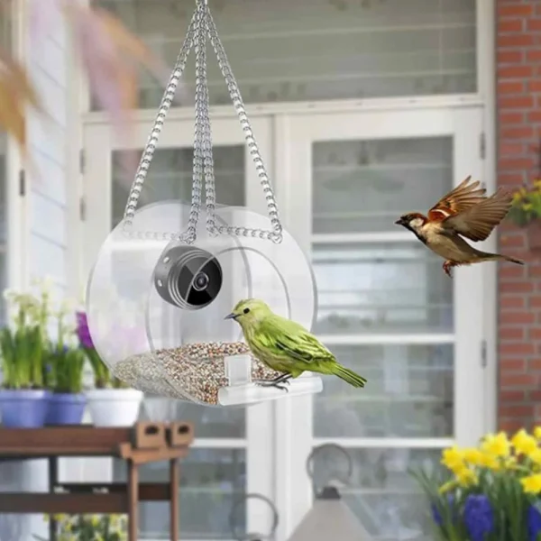 Smart Birds Hanging Feeder Acrylic with Camera