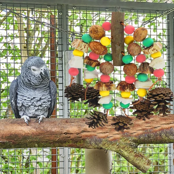 Hanging  Bird Toy for Large Parrots, Nuts Nutrient-rich