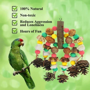 Hanging  Bird Toy for Large Parrots, Nuts Nutrient-rich