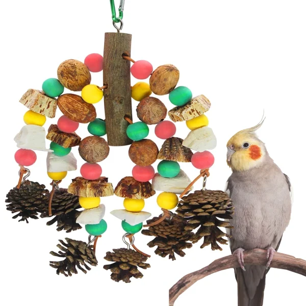 Hanging  Bird Toy for Large Parrots, Nuts Nutrient-rich