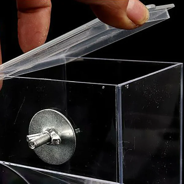 Automatic Bird Feeding Cup, Parrot Cockatiel Canary