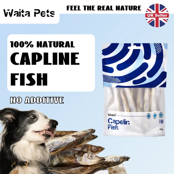 Waita Freeze Dried Capelin 40g Premium Pet Treats