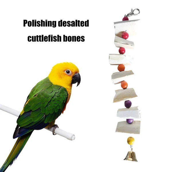 10pcs Natural Cuddle Bone Calcium Supplement Bird Food