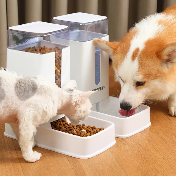 Automatic Pet Feeder, Drinking Fountain 2-Pack Set