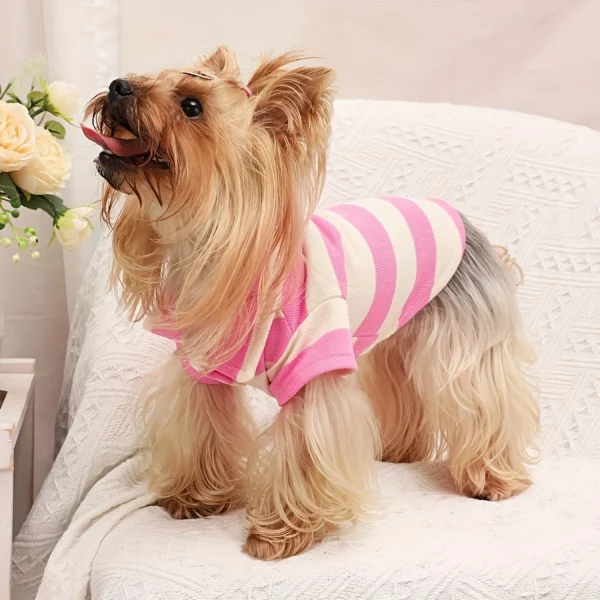Collared Summer Shirt for Small Dogs and Cats