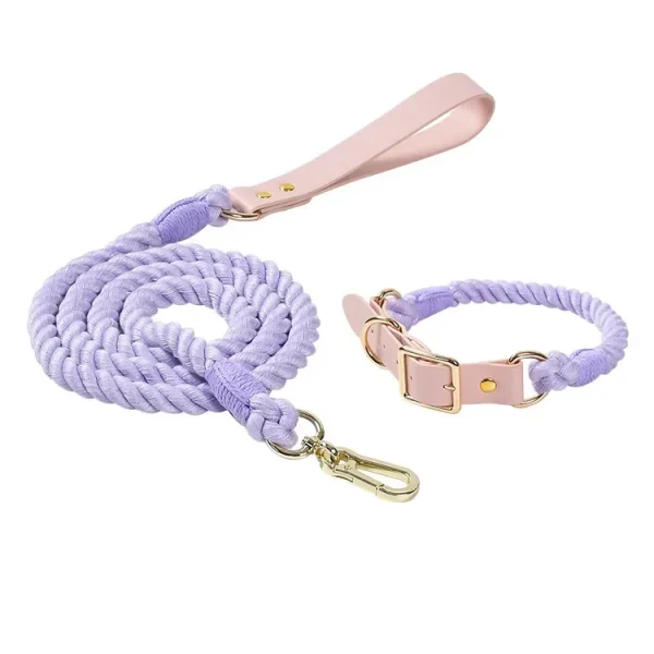Colorful Leather Dog Collars