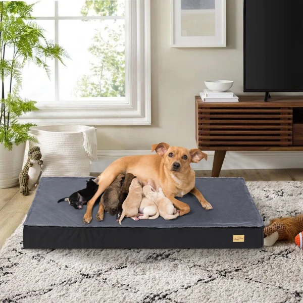 Washable Dog Beds for Large Dogs, Comfortable and Orthopedic