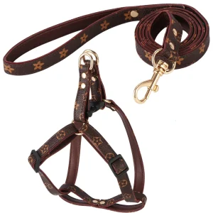 Aged Leather Pet Leash Set