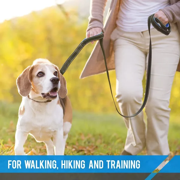 180cm Double Handle Dog Leash, Double-Sided Reflective Night Safety
