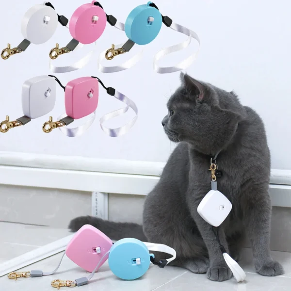 Outdoor Automatic Retractable Mini Pet Leash