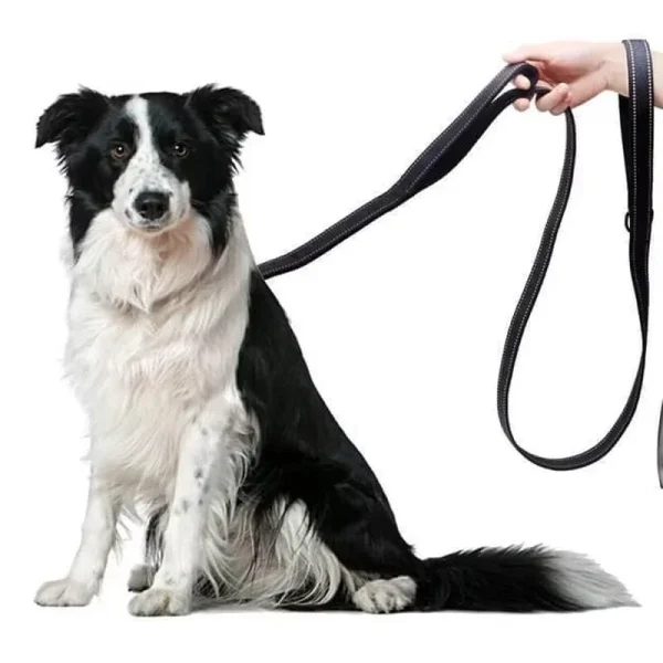 180cm Double Handle Dog Leash, Double-Sided Reflective Night Safety