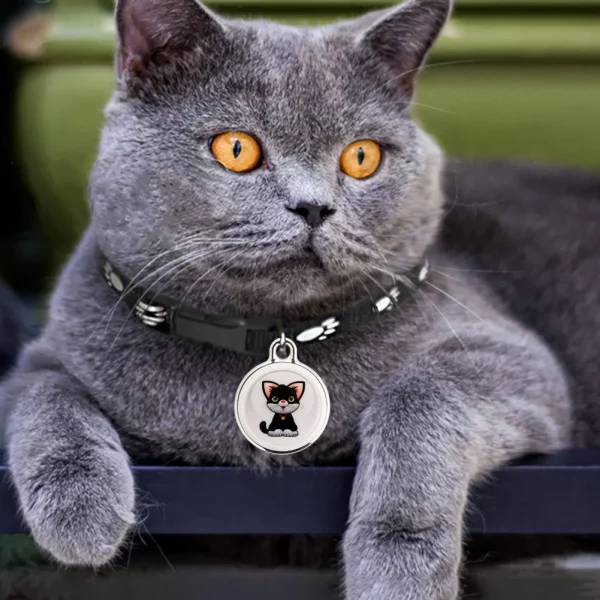Pet Anti-Lost GPS Tracker, Real-Time Global Tracking Device