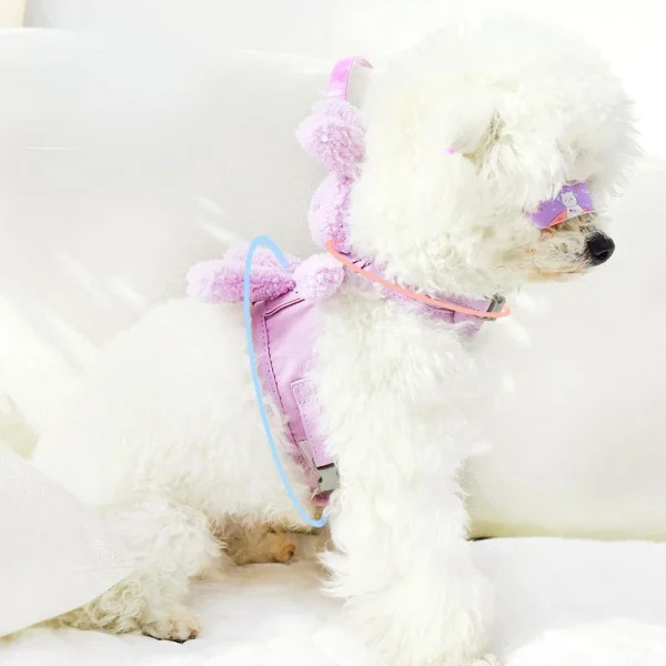 Cute Vest Harness for Small Dog
