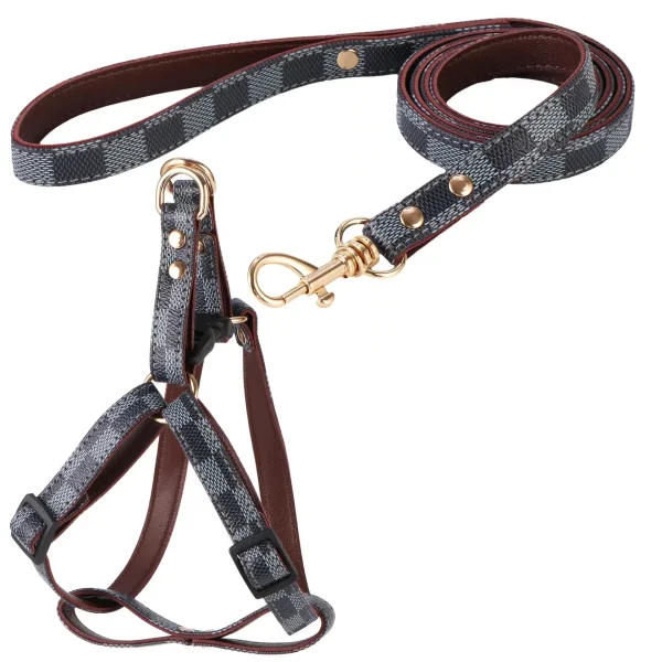 Aged Leather Pet Leash Set