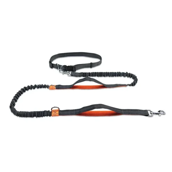 Dog Running Comfortable Traction Rope