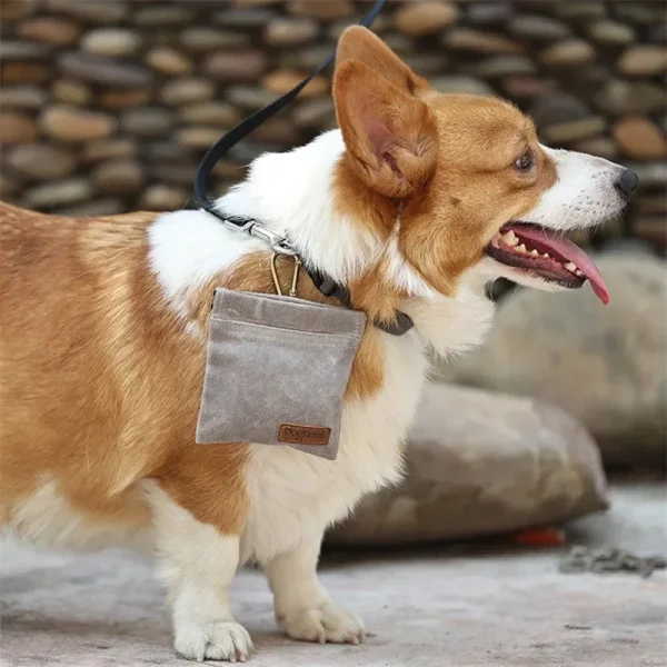 Walking Dog Snack Pocket with Carabiner