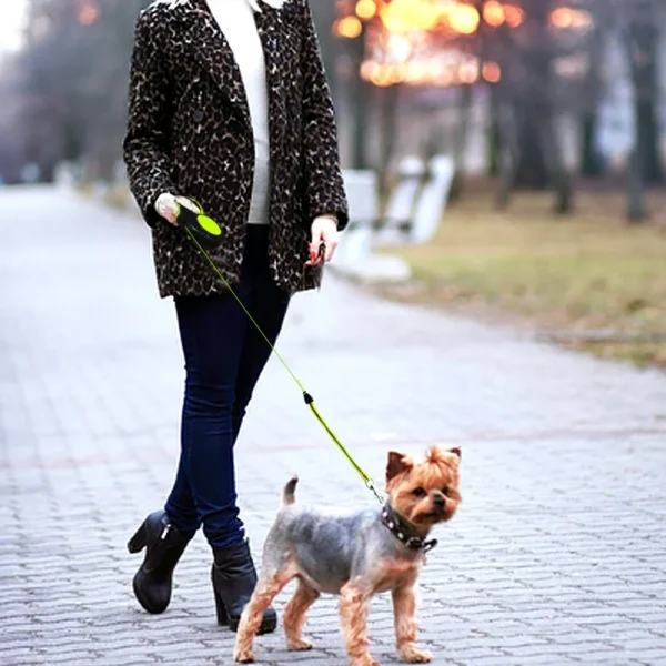 Retractable Dog Leash, Automatic Extending Traction Rope