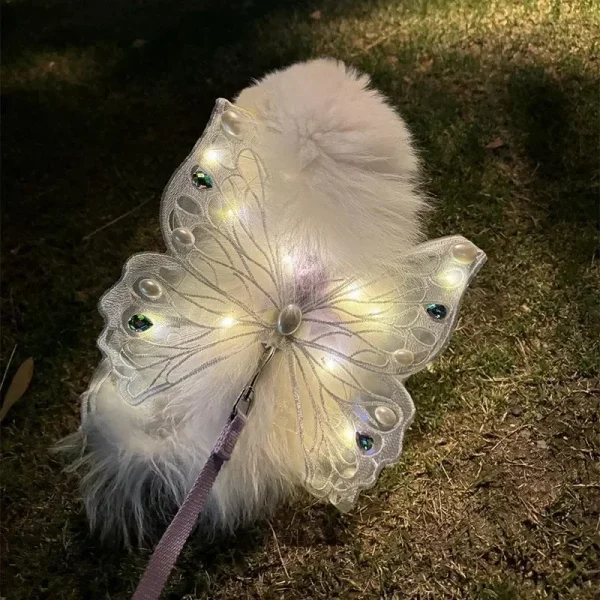 Glowing Butterfly Wings, Dog Harness & Summer Outfit