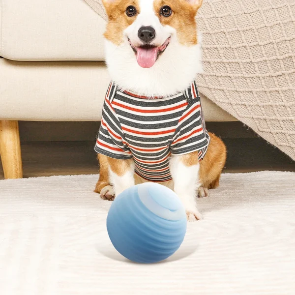2Pcs Rechargeable Interactive Dog Toy Balls with USB Connector