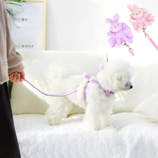 Cute Vest Harness for Small Dog