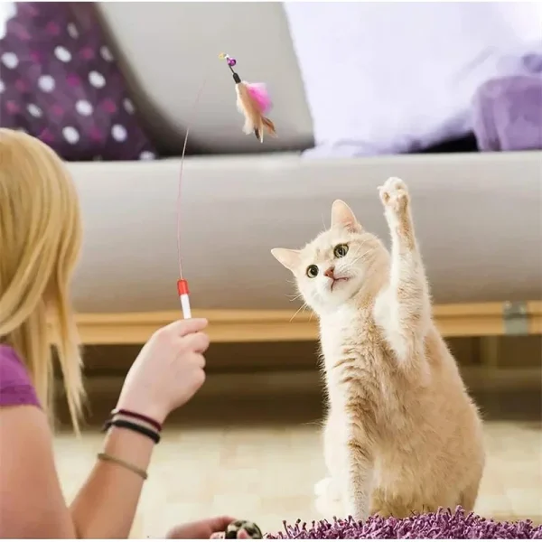 Kitten Toys, Variety Combination Set