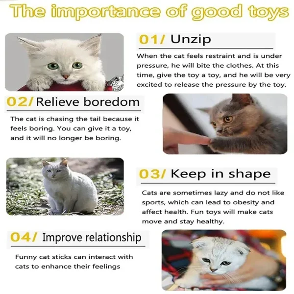 Kitten Toys, Variety Combination Set