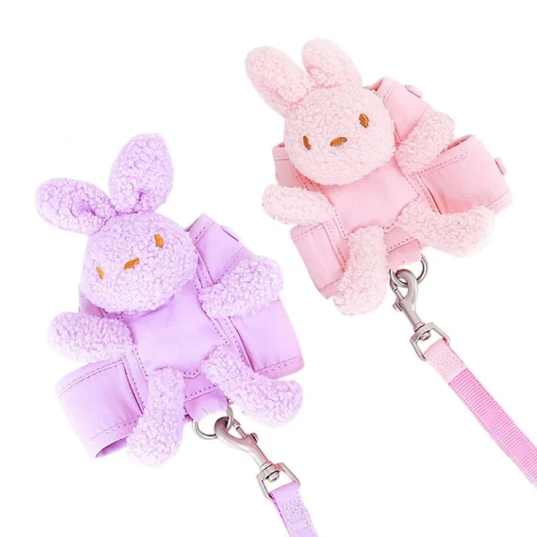 Cute Vest Harness for Small Dog