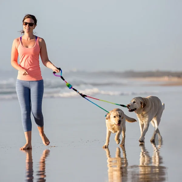Rainbow Multi Dogs Leash for 1, 2, 3 or 4 Dogs