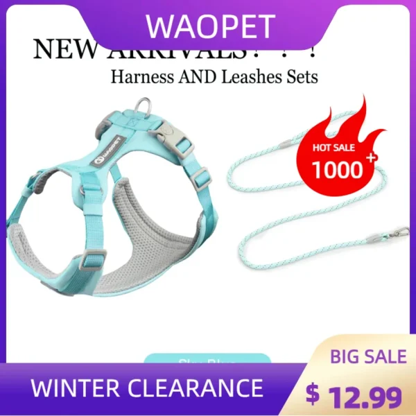 Walking Dog Harnesses Set With Leashes