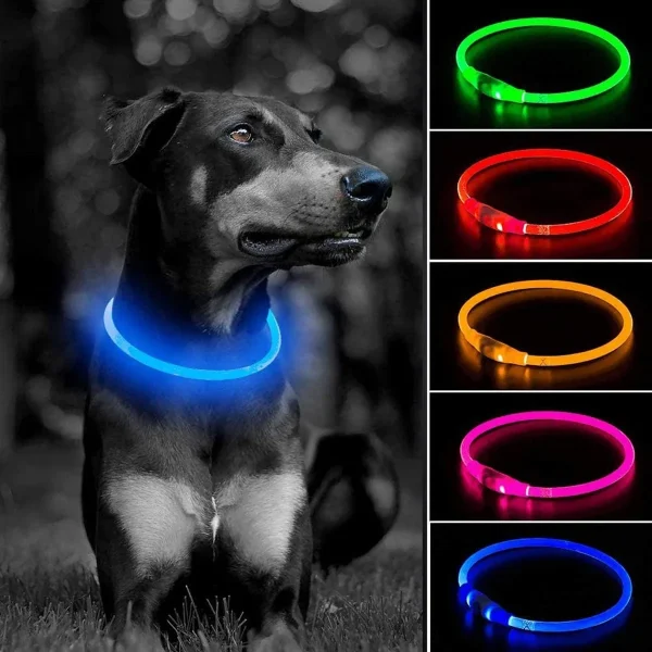 Dog Collar With Led Light, USB Rechargeable