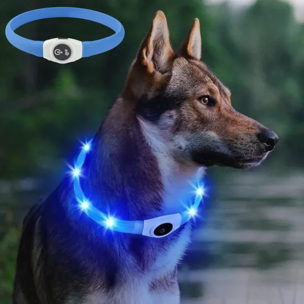 New Led Luminous Dog Collar PVC Waterproof With Usb