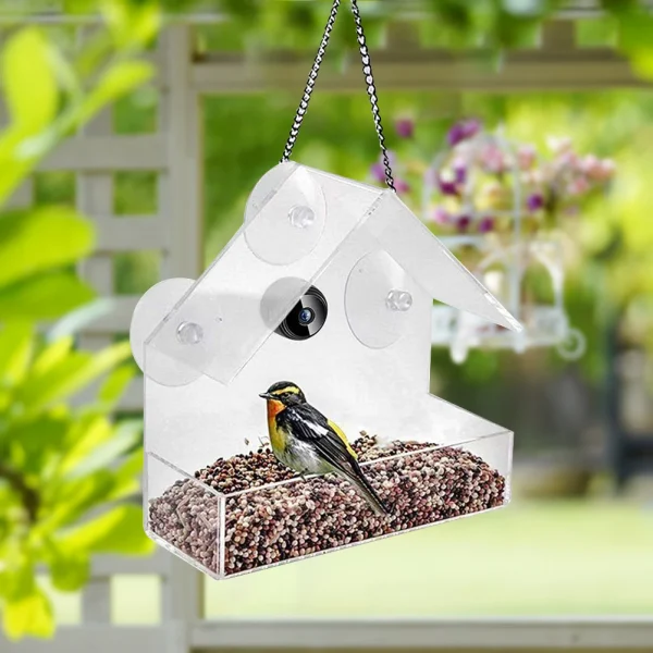 Smart Bird Feeder, Acrylic with Camera,1080P HD Easy Installation for Outdoor Garden