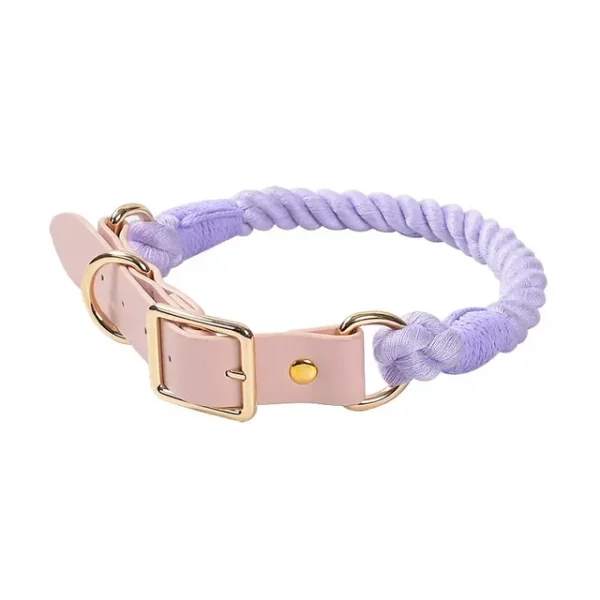 Colorful Leather Dog Collars
