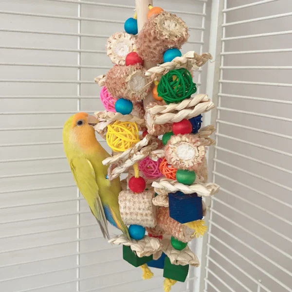 Natural Corn Cob Chew Toys For Small Medium-Sized Macaws, Cockatoos, African Grey Bird
