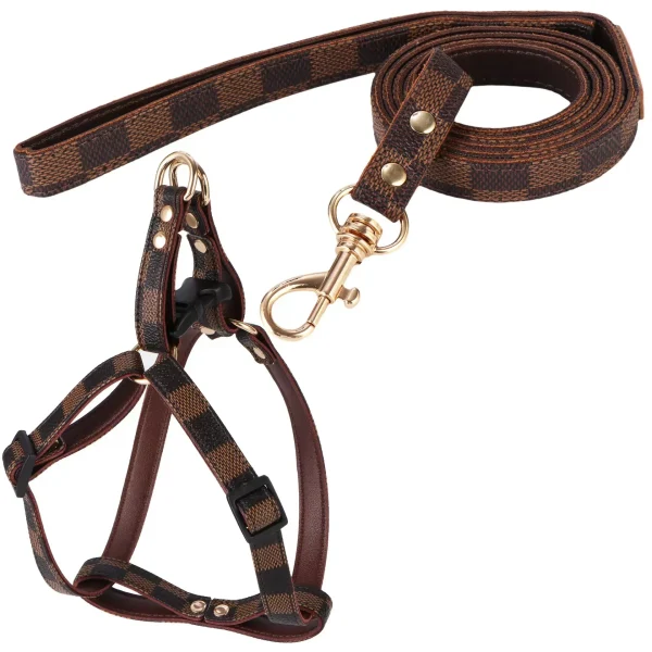 Aged Leather Pet Leash Set