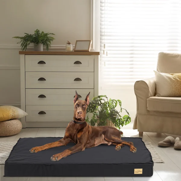 Washable Dog Beds for Large Dogs, Comfortable and Orthopedic